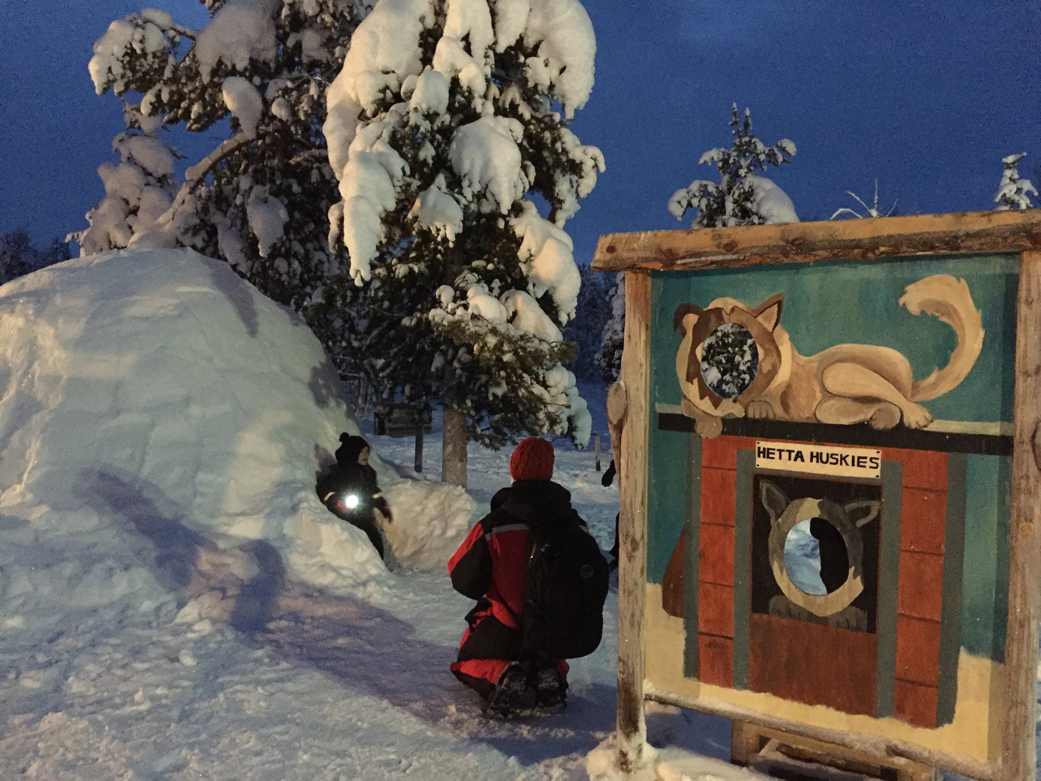 Working with the dogs across the seasons