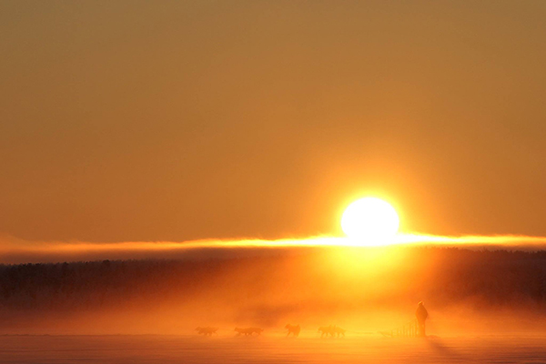 Dog team mushing into an arctic sunset