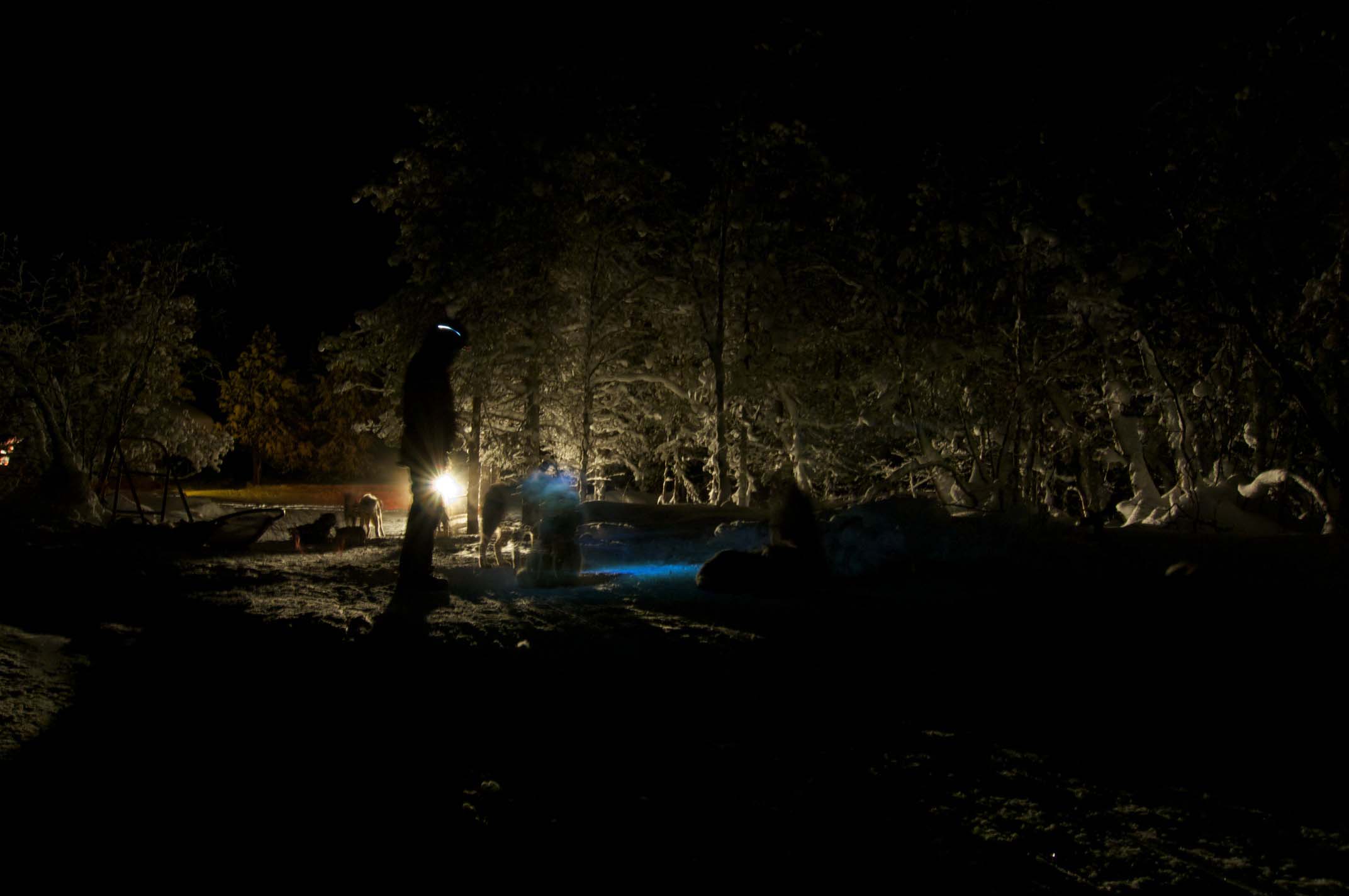 The farm during the dark midwinter months