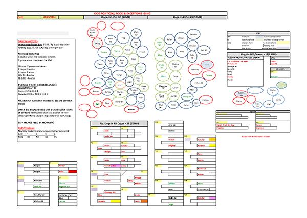 Feeding plan chart