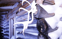 Winter activities and sights around Hetta village