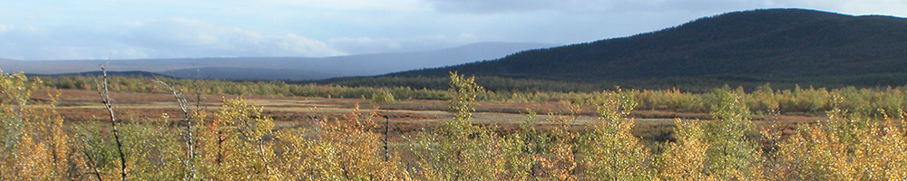 National park trail in the Finnish Lapland wilderness