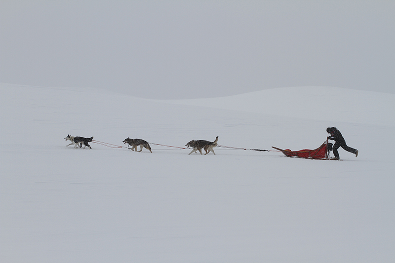Wilderness trail on a multiday expedition