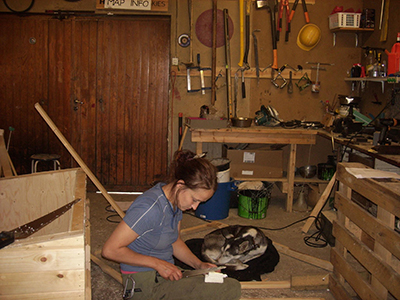 Repairing and maintaining safari sleighs