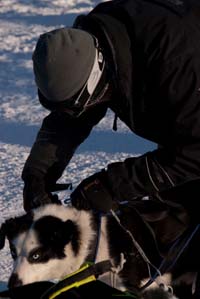 Sleigh training in the Arctic landscape