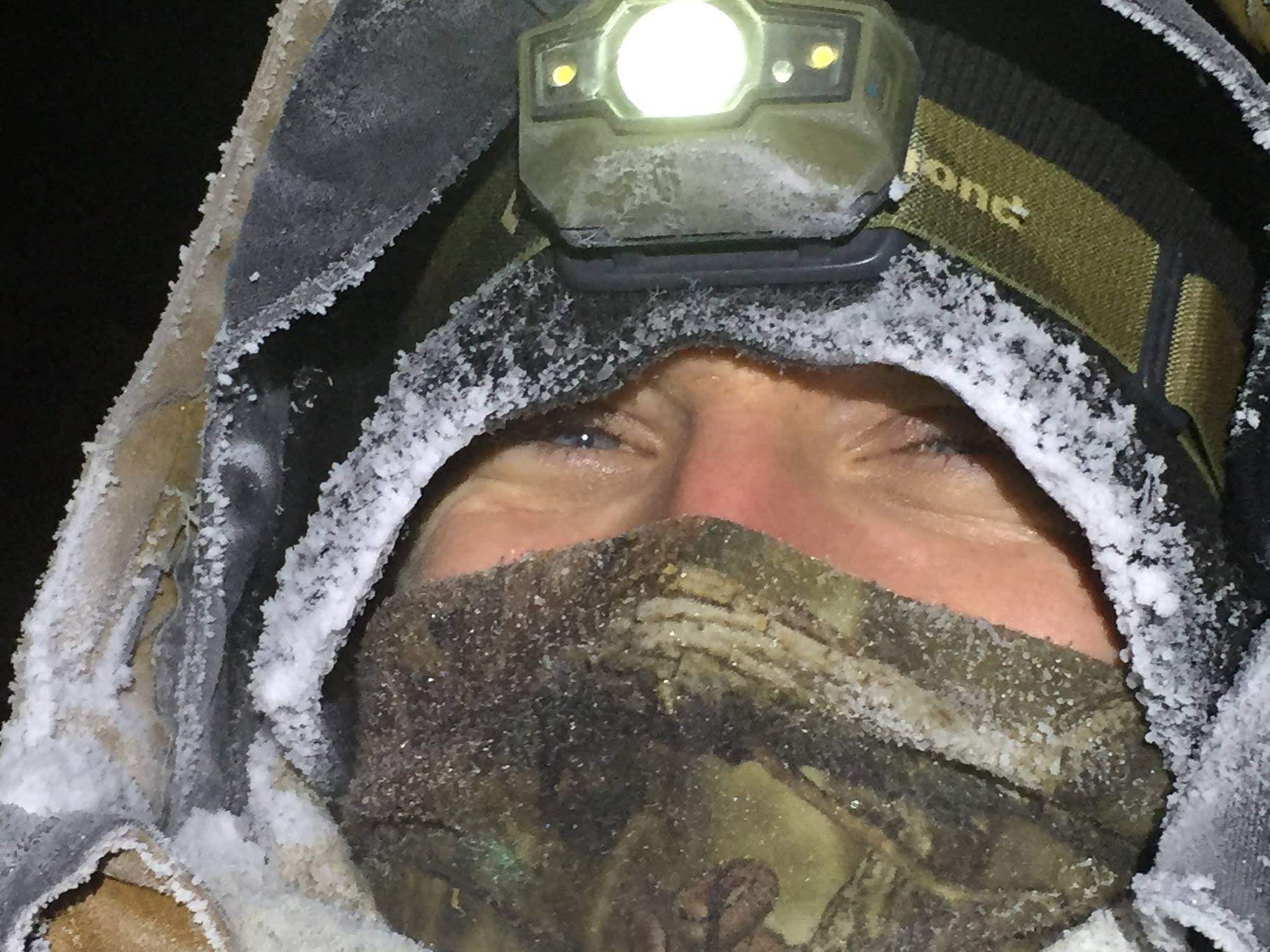 Husky guide working with the dogs through the seasons