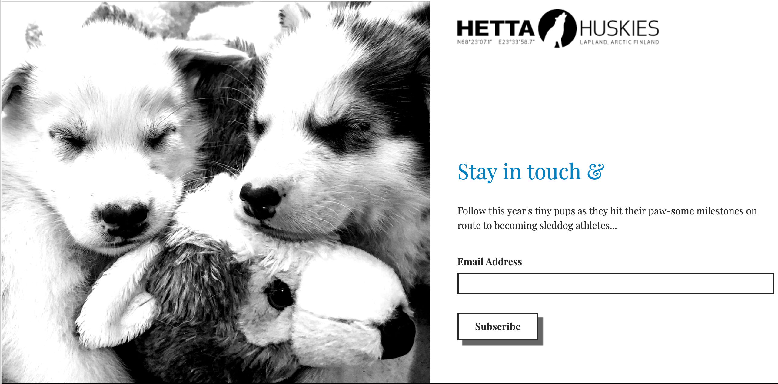 Hetta Huskies newsletter sign-up graphic