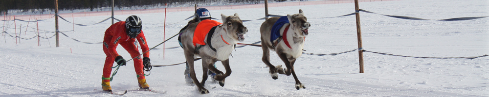 Historic Sami life and reindeer herding in Enontekio
