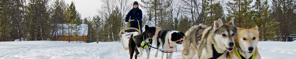 Musher kitted out in thermal snowsuit and boots