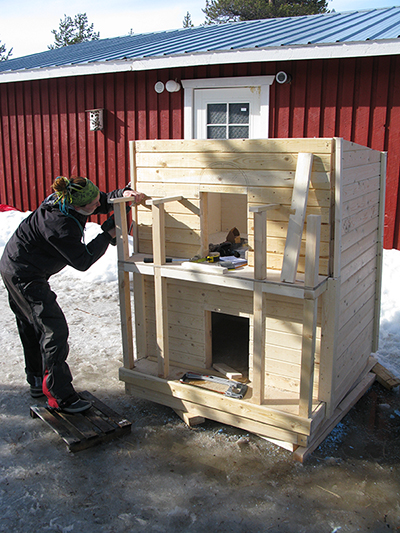 The puppy Hilton kennel under construction