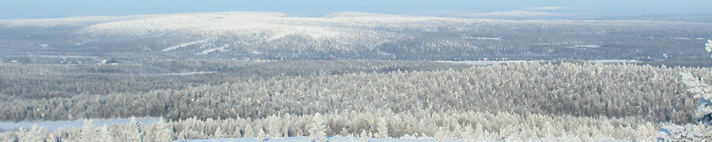 The fells of Finnish Lapland