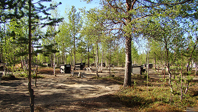 Dogs relaxing in the shade at the farm