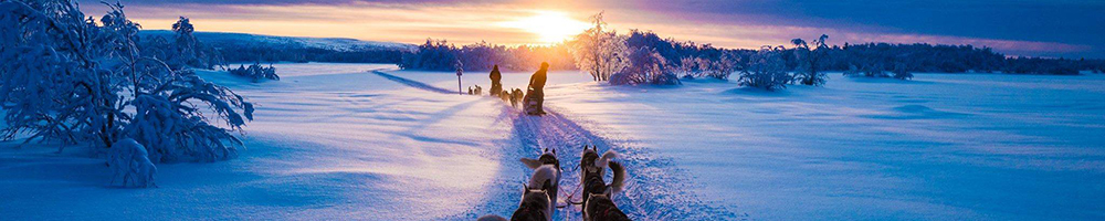 Arctic road heading north into the blue Lapland landscape