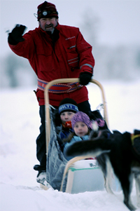 Husky lead dog ready for a winter sleigh taster ride