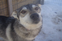Anitra after adoption