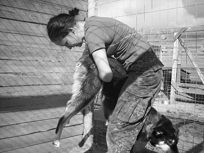 A dog being checked over by a guide