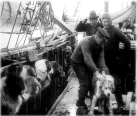 James assists Macklin with a sick dog as Shackleton looks on