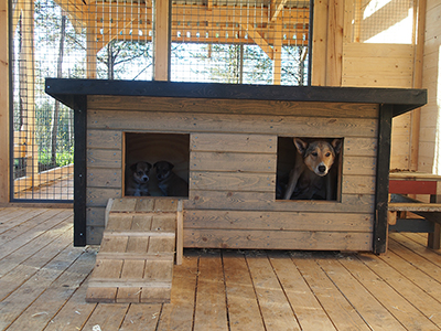 A two-dog double kennel with offset partition