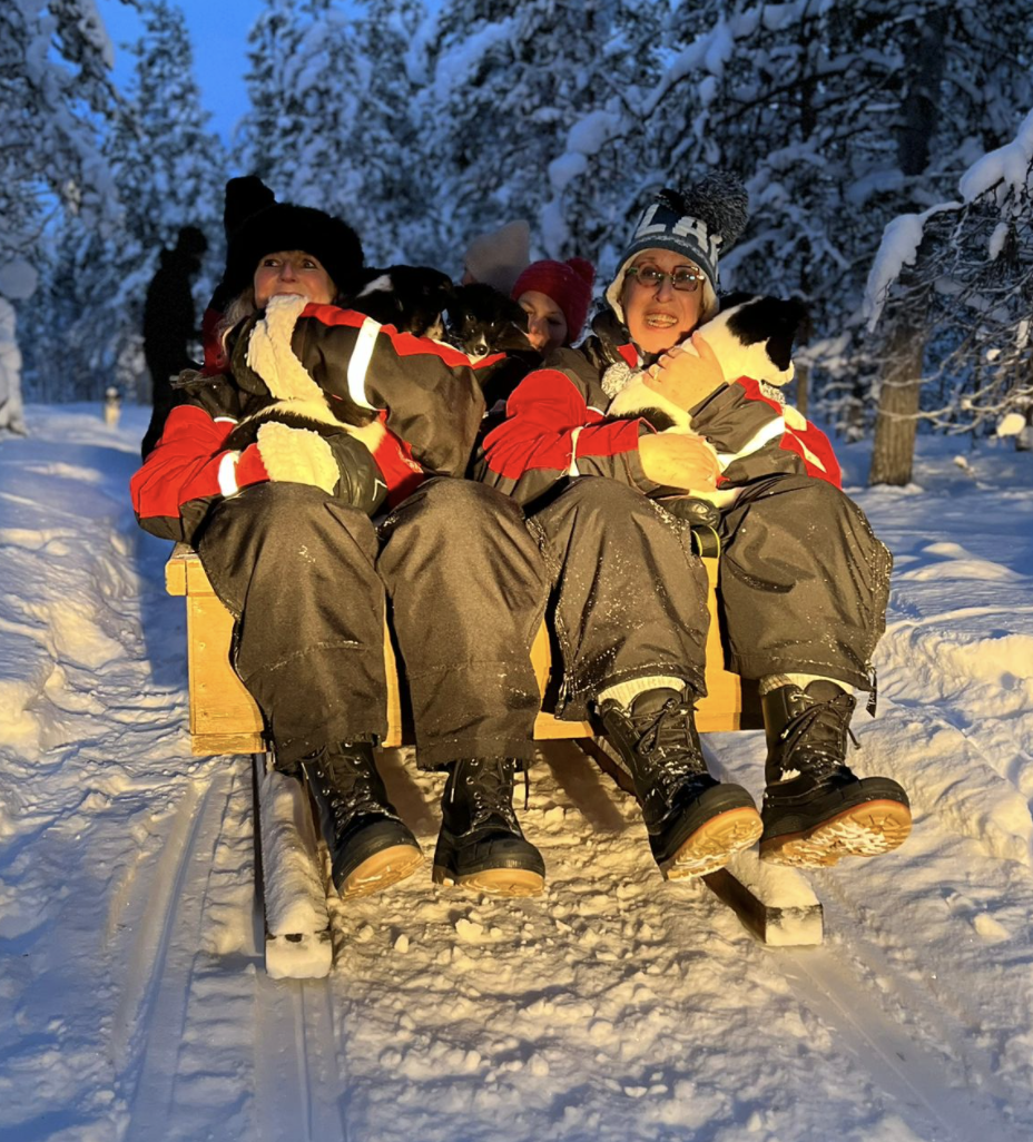 Pups running behind a sleigh during a puppy encounter