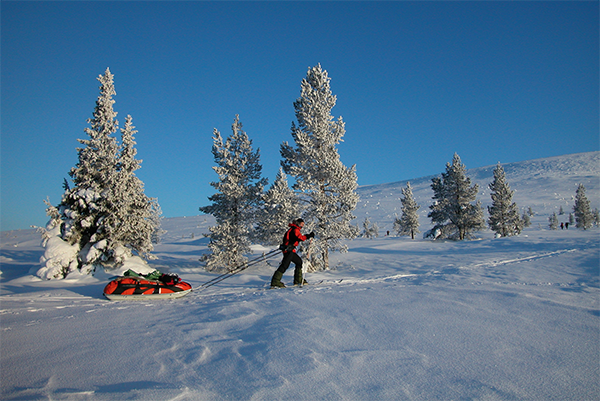 Hauling a pulk sled across the tundra