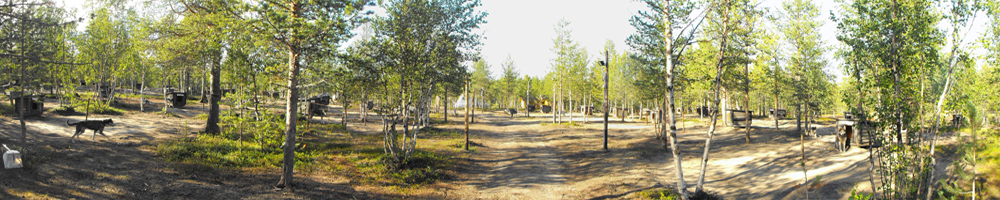 The Hetta Huskies farm