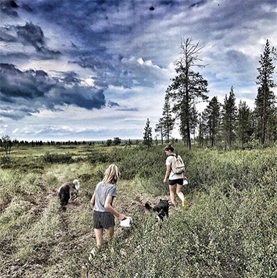Summer hike through the Arctic landscape