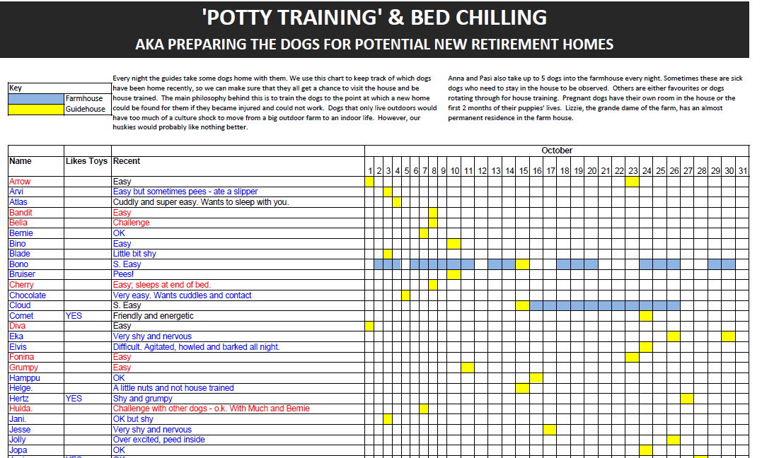 Puppy potty training
