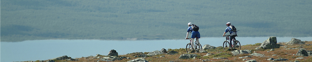 Cyclist on a cross-country trail near Hetta