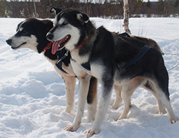 Anjuska with her new owner Ina