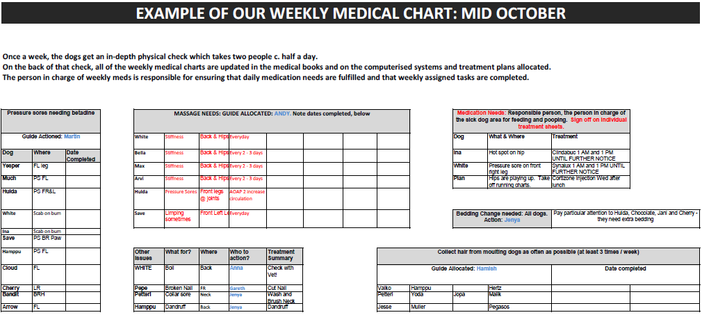 Weekly medical chart