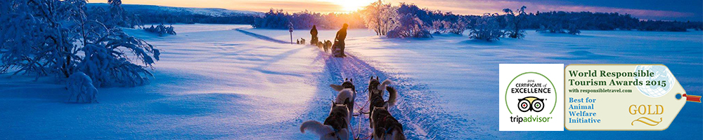 Family mushing adventure award image