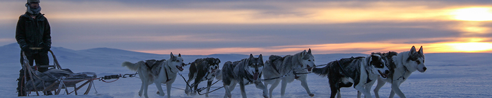 Arctic landscape at sundown over a snowy multi-day safari trail