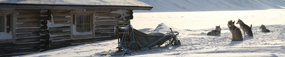 Sled dog team in deep snow, evoking polar exploration