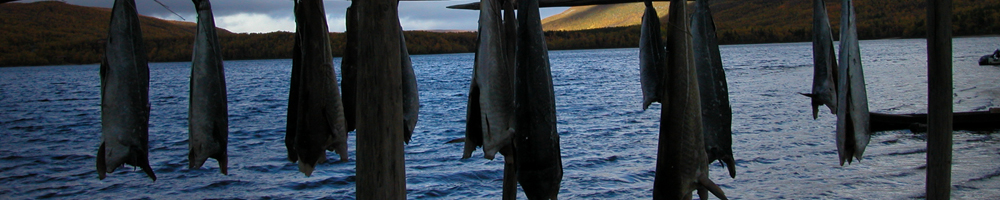 Fishing in the clear lakes and rivers of Enontekiö