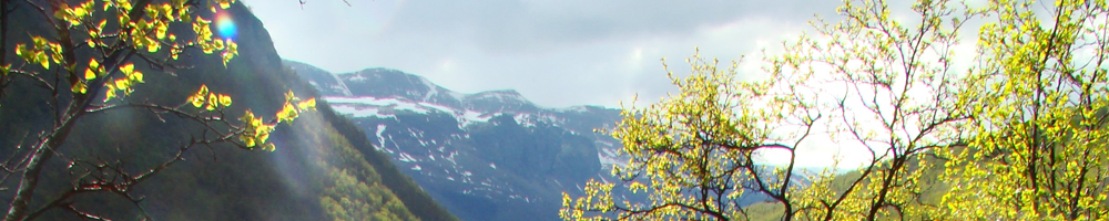 Norwegian Arctic mountain landscape en route to Hetta