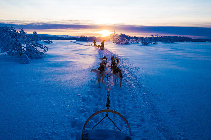 Scene from a multiday husky safari