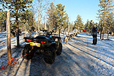 Quad-bike taster ride with the dogs