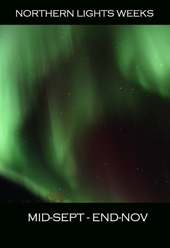 Northern lights over the autumn Arctic landscape