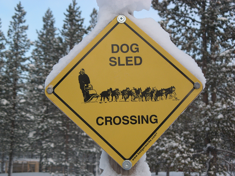 Dog sled crossing on the farm track