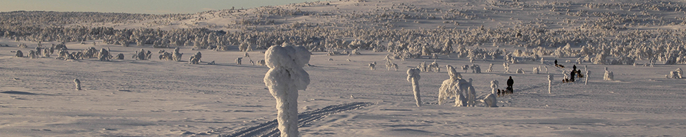 Dog team crossing the high arctic tundra plateau