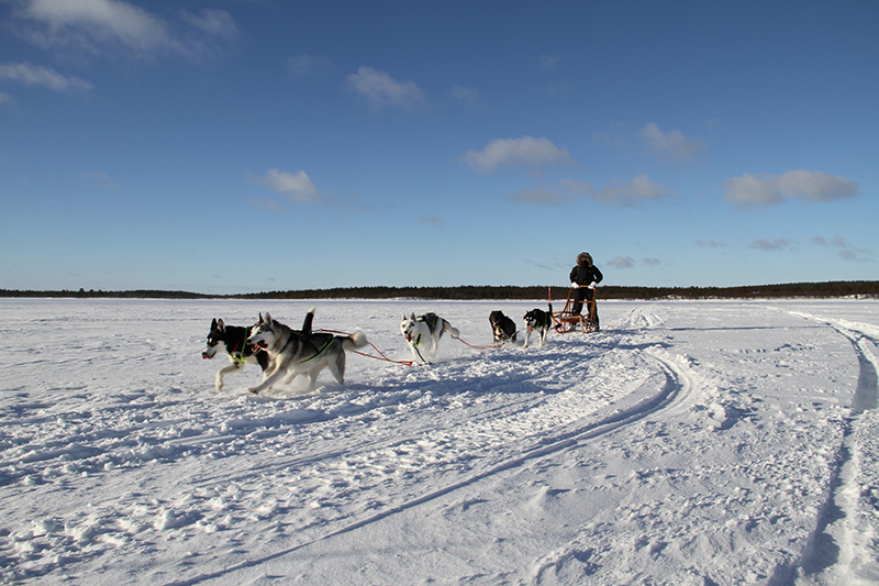 Sled team crossing a frozen lake