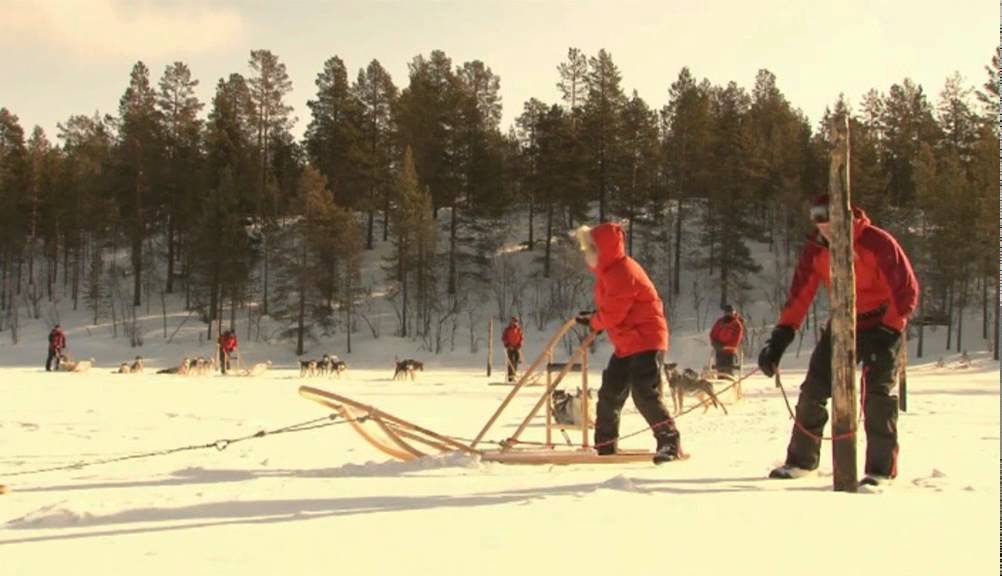 Frozen Lakes day safari video thumbnail