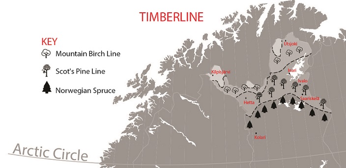 Arctic timberline landscape near Hetta