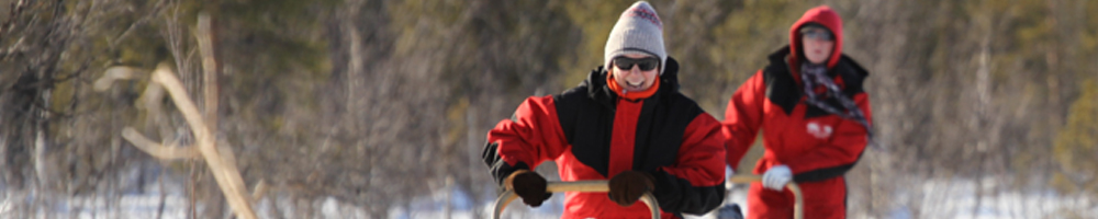 First-time musher holding firmly onto the sled handlebar