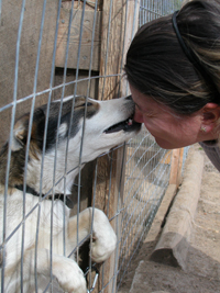 Trainee guides working with the dogs