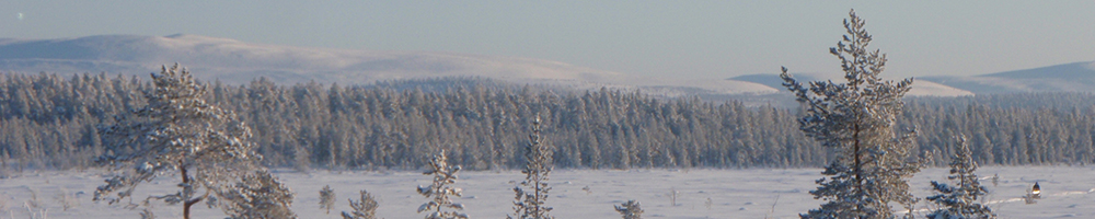 Marshland and fells in Pallas-Yllästunturi National Park