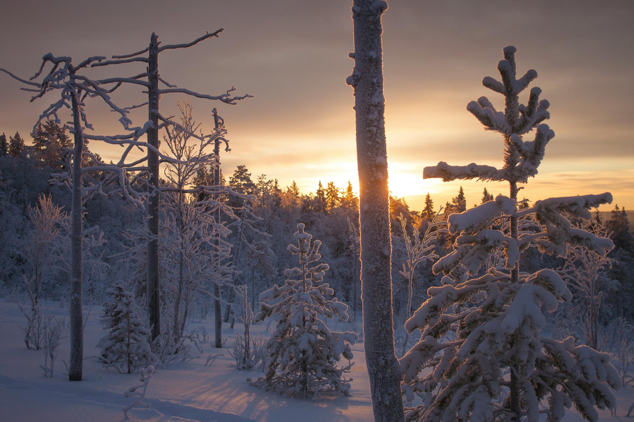 Events in Enontekiö