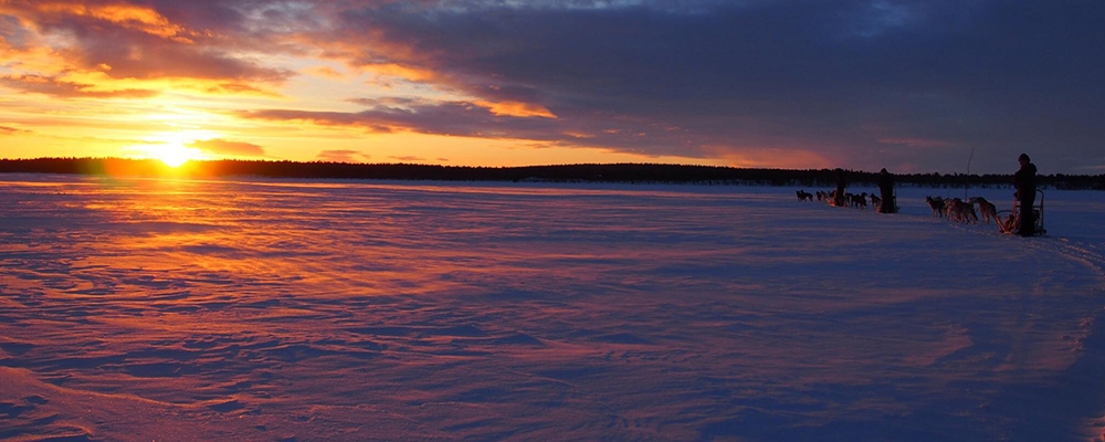 Silhouette of a husky team sledding across a frozen lake at sunset