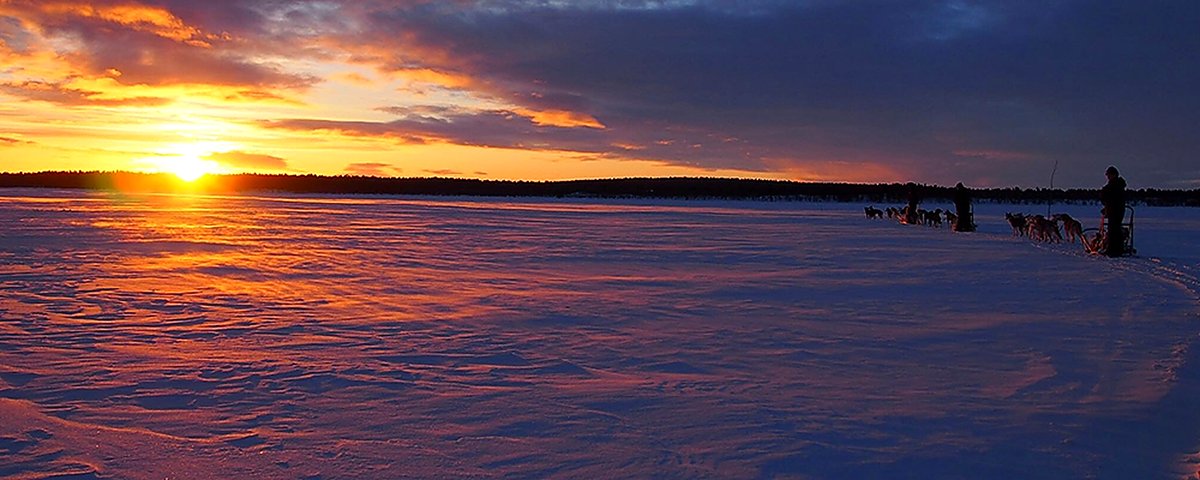A husky team silhouetted against an Arctic sunset